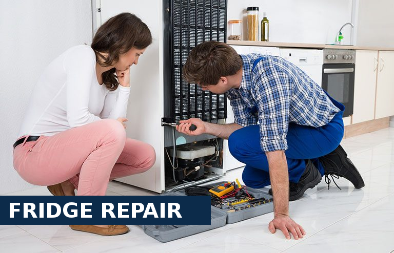 Fridge Repair East Dulwich